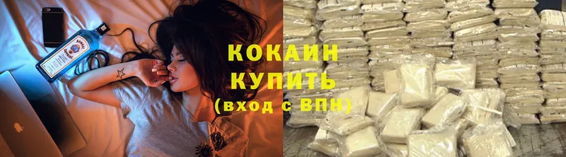 Кокаин Fish Scale  где купить наркотик  сайты даркнета формула  Камызяк 